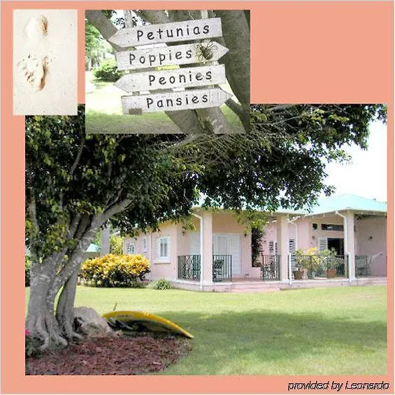 ****  Villa Montana Beach Resort Isabela Puerto Rico